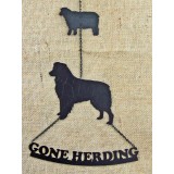 AUSTRALIAN SHEPHERD GONE HERDING 